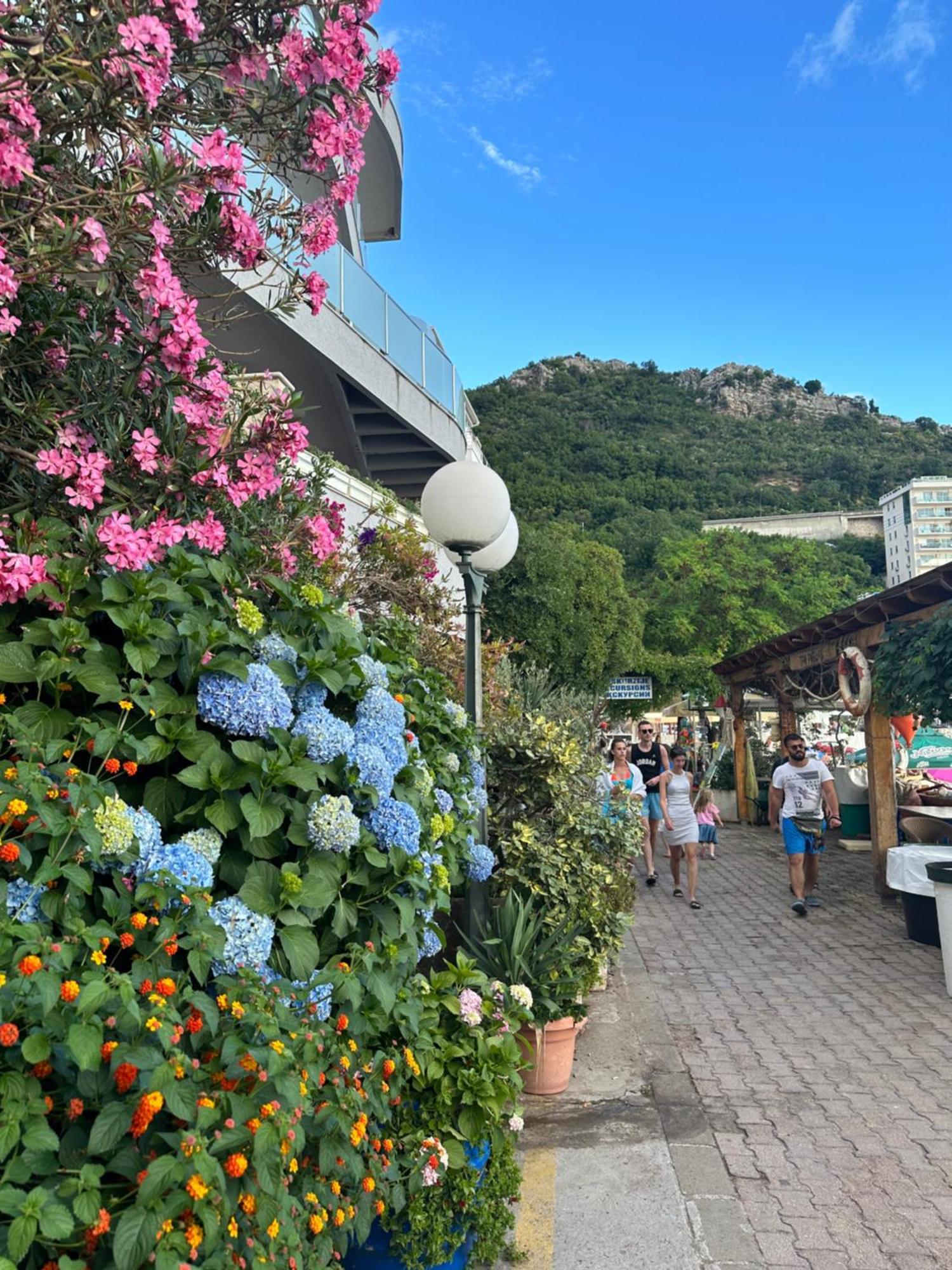 Apartmani Jedro Rafajlovići Esterno foto